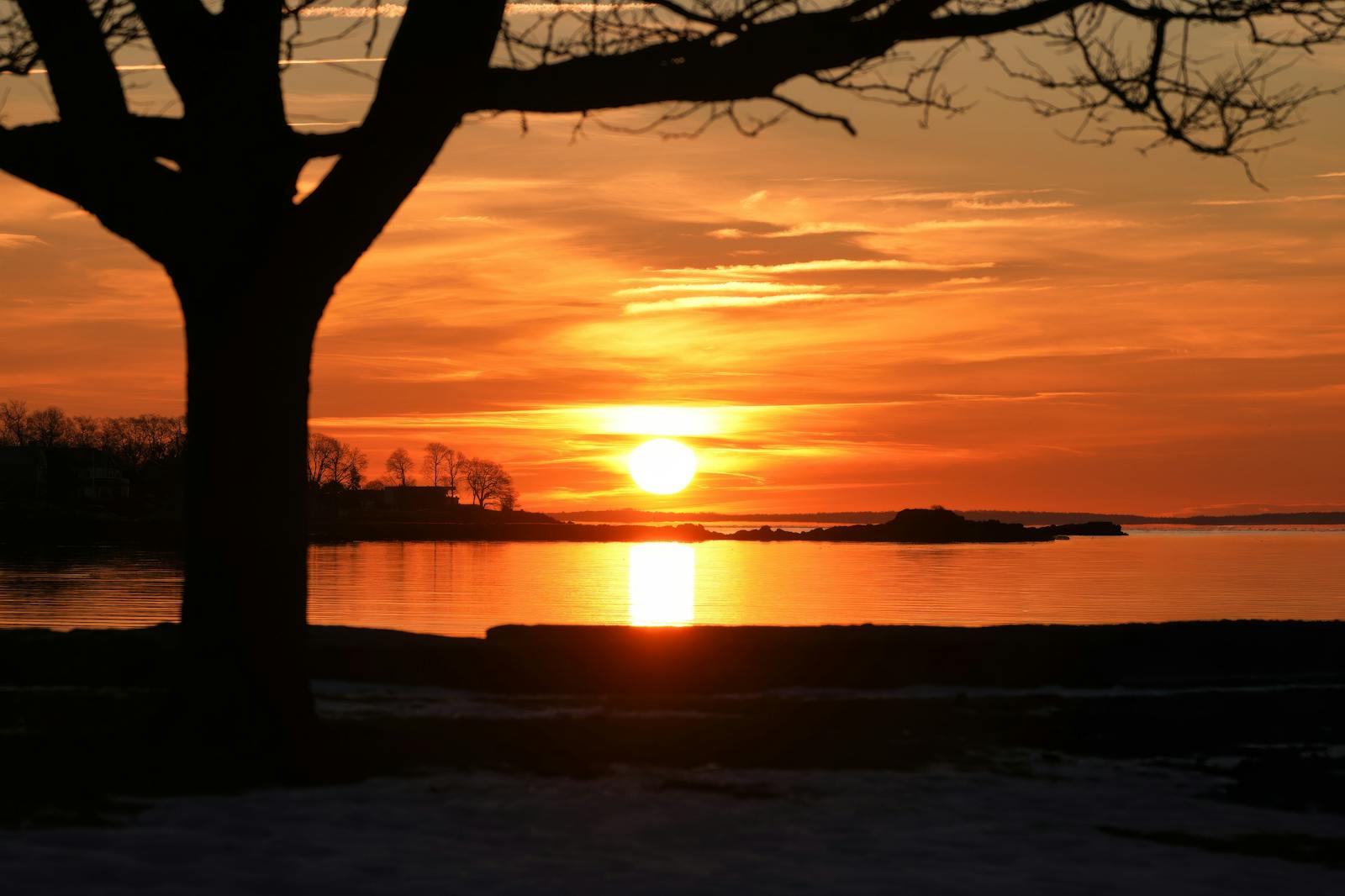 Mùa trăng trong tiếng đọc khẽ