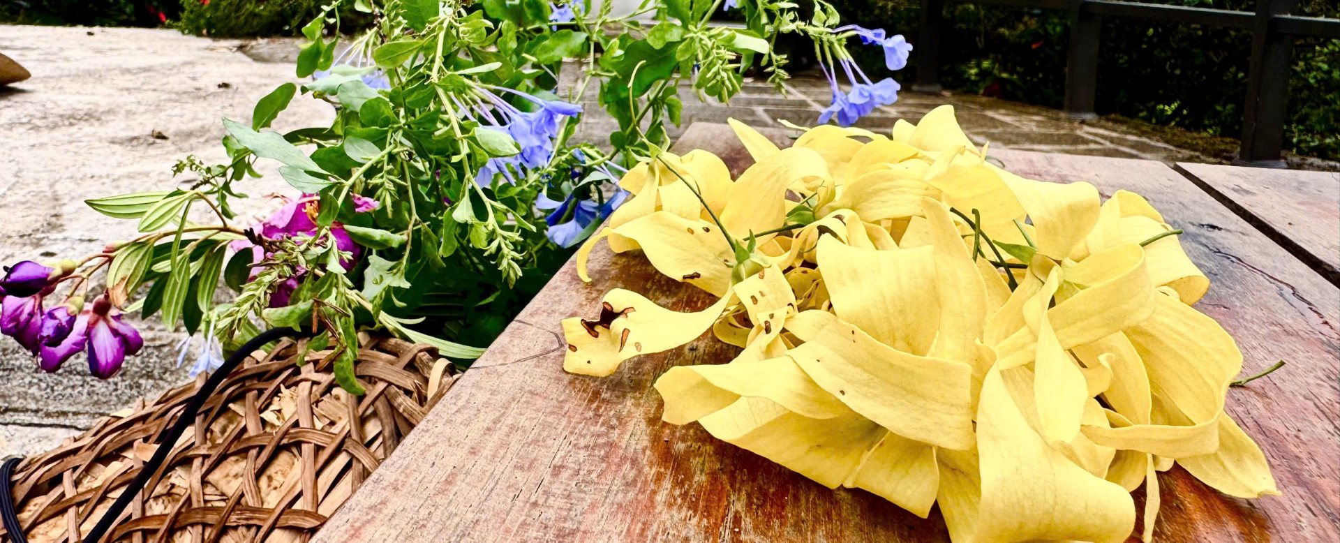 Mùa hoa dẻ lặng lẽ 