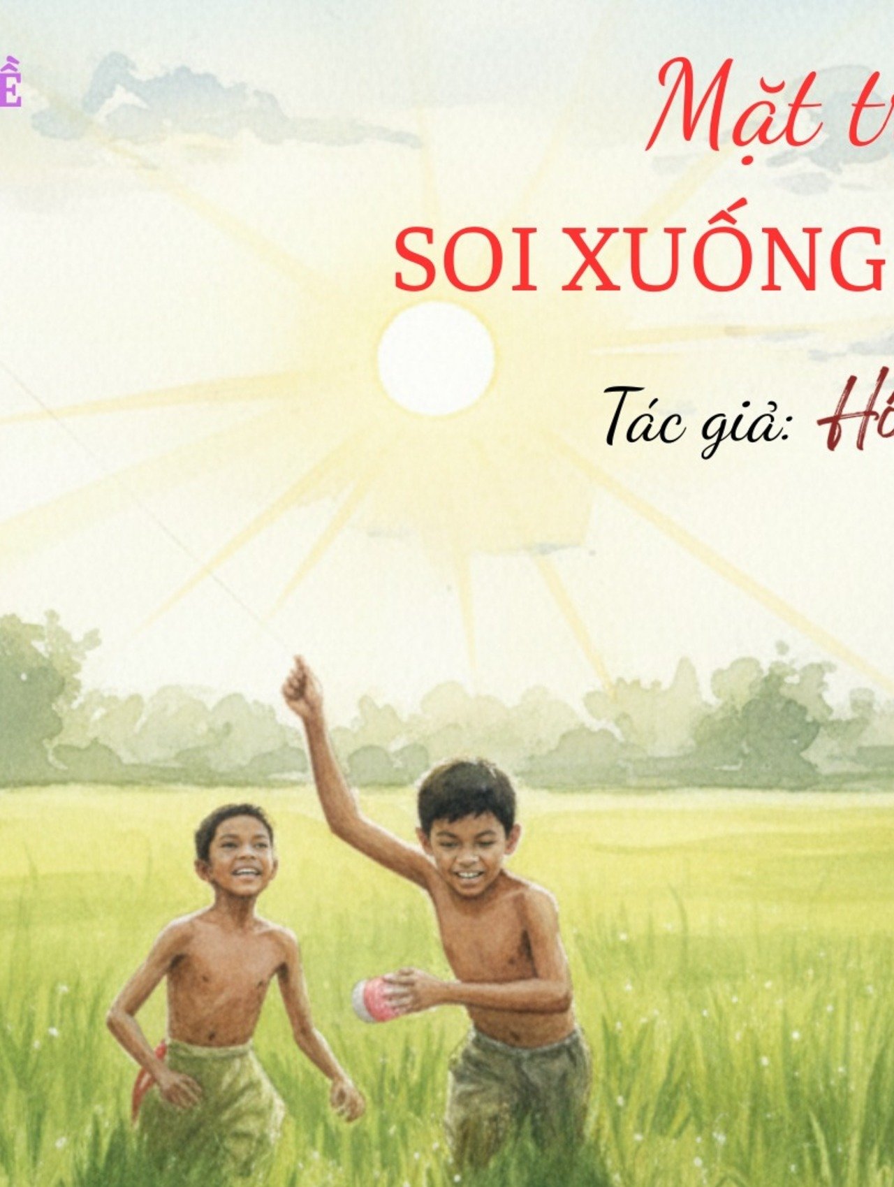 Mặt trời tròn trịa soi xuống gốc mạ non 